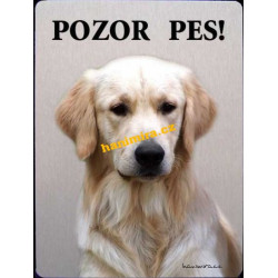 Retrívr zlatý3