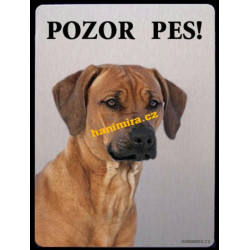 Rhodeský ridgeback