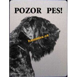 Ruský terier