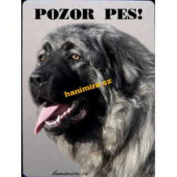 Šarplaninský pastevecký pes, šarplaninec
