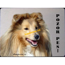 Šeltie Sheltie