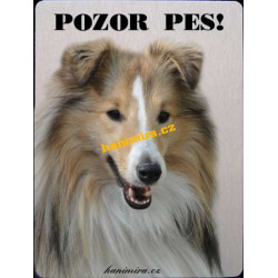 Šeltie Sheltie1