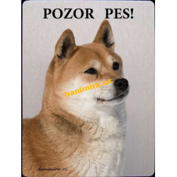 Šiba Inu