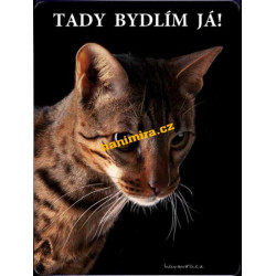 Savannah Savanová kočka 1