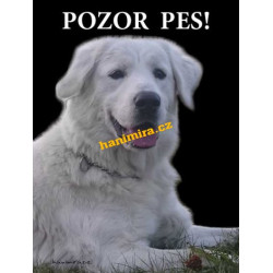Slovenský čuvač1