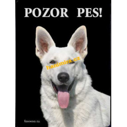 Švýcarský ovčák bílý