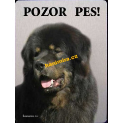 Tibetská doga