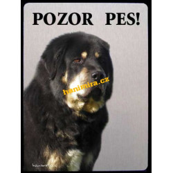 Tibetská doga1