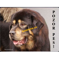 Tibetská doga2