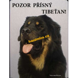 Tibetská doga3