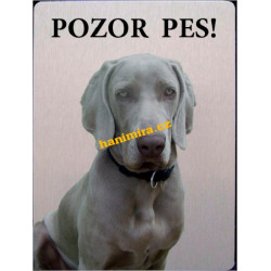 Výmarský ohař4