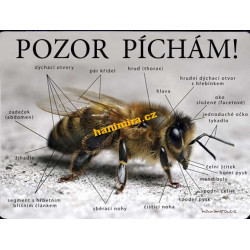 POZOR VČELY Pozor píchám