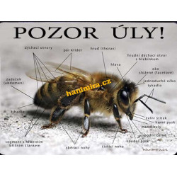 POZOR VČELY Pozor úly