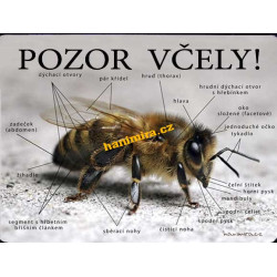 POZOR VČELY Pozor včely 2