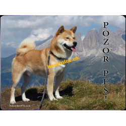 Akita Inu 1