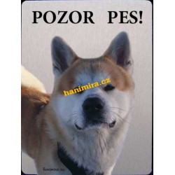 Akita Inu 3