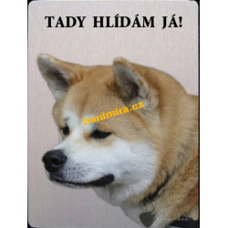 Akita Inu 4
